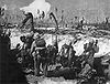 Battle of Peleliu