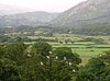 Herons at Muncaster - geograph.org.uk - 1979871.jpg