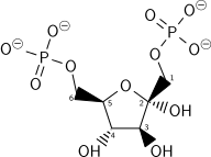 Beta-D-fructose-1,6-bisphosphate wpmp.svg