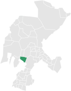 Municipio de Tepetongo.png