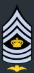 Denmark-AirForce-OR-9b.svg