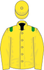 Yellow, green epaulets