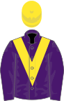 Purple, yellow chevron, yellow cap