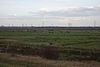 Inner Thames Marshes