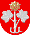 Coat of arms of Muurame