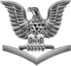A single silver eagle, its beak facing to its right, perched upon a silver downward-facing chevron.
