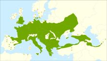Acer campestre range.svg