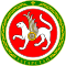 Coat of Arms of Tatarstan.svg