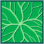 Leaf morphology rotate.png