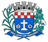 Coat of arms of São João de Iracema