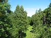 Disused railway route near Waitby - geograph.org.uk - 1405605.jpg