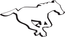 Team logo