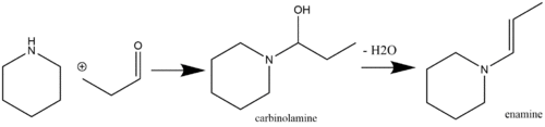 Enamine synthesis with a carbinolamine intermediate.