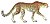 Acinonyx jubatus (white background).jpg