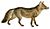 Dogs, jackals, wolves, and foxes (Plate XV).png