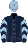Dark blue, light blue chevrons on sleeves, light blue cap