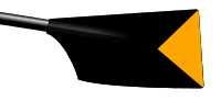 Image showing the rowing club's blade colours