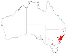 AllocasuarinadistylaDistributionMap14.png