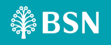 BSN Logo.gif