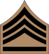 04.RSA-1SGT.svg