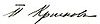 Pyotr Krasnov Signature.jpg