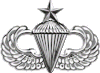 US Army Airborne senior parachutist badge.gif