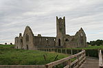 Kilmallock Priory SW 2007 08 08.jpg