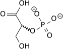 2-phospho-D-glycerate wpmp.png
