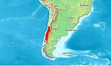 Enicognathus areal.JPG