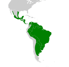 Pitangus sulphuratus map.svg
