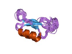 PDB 1kn6 EBI.jpg