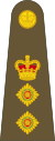 Colonel
