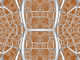 H3 535-1101 center ultrawide.png