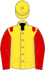 Yellow, red epaulets and sleeves