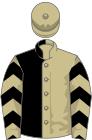 Black and beige (halved), chevrons on sleeves, beige cap