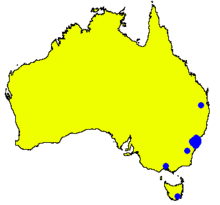 Angophora hispida DistMap.png
