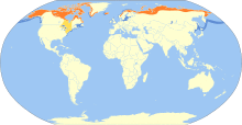 Clangula hyemalis map.svg