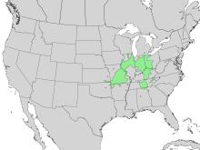 Fraxinus quadrangulata range map 4.png