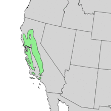 Quercus lobata range map 1.png