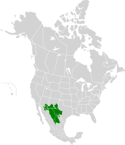Chihuahuan Desert map.svg