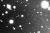 Orthosie-discovery-CFHT-annotated.gif