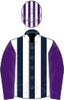 Dark blue and white stripes, purple sleeves, purple and white striped cap