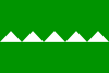 Flag of Salinas