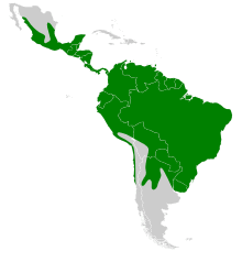 Desmodus rotundus map.svg