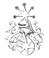 Stjerne of Suðrheim coat of arms.jpg
