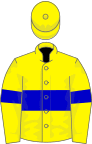 Lemon, blue hoop on body and sleeves, lemon cap