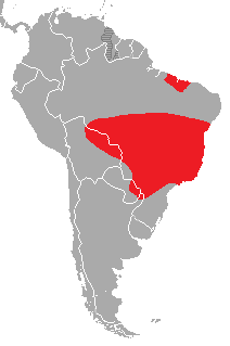 Primolius maracana distribution map.png