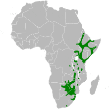 Buphagus erythrorhynchus map.svg
