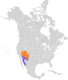 Toxostoma bendirei map.svg