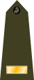 US Marine O1 shoulderboard vertical.svg